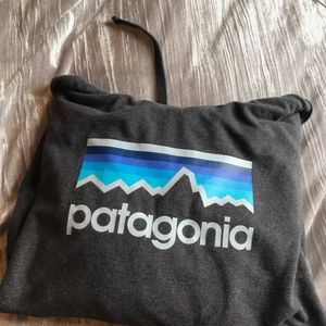 Patagonia Hoodie